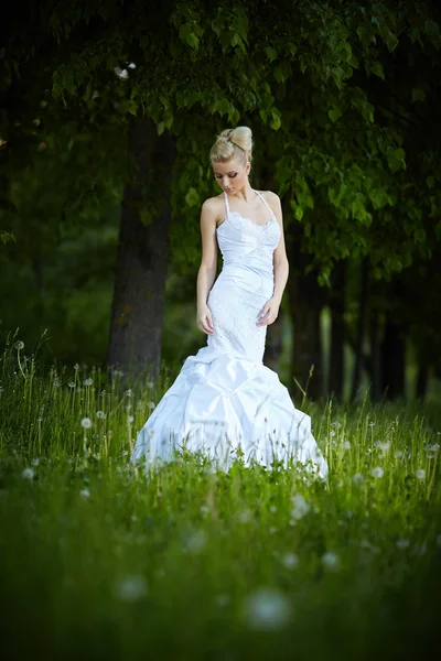 Bella giovane sposa bionda — Foto Stock