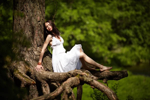 Beautiful girl on old tree — Stock Photo, Image