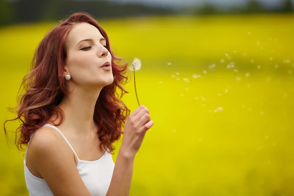 Hermosa mujer soplando diente de león en el campo — Foto de Stock