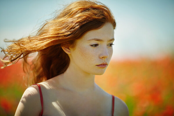 red haired beautiful girl in poppy field