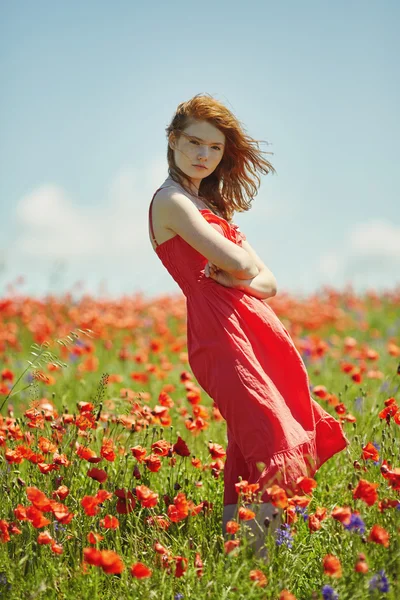 Rojo pelo hermosa chica en amapola campo — Foto de Stock