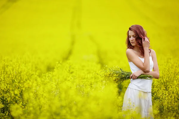 Young beautiful girl in yellow field — Stock Photo, Image