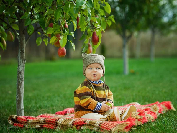 Kleine schattige jongen met de oogst — Stockfoto