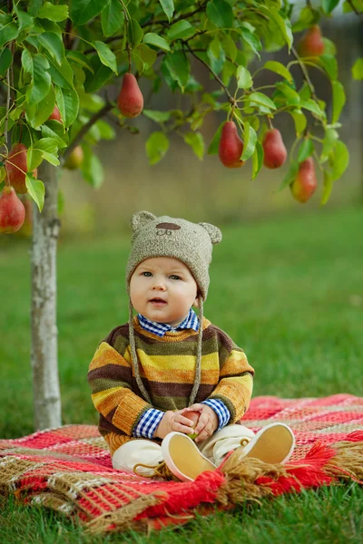 Маленький милий хлопчик з урожаєм — стокове фото