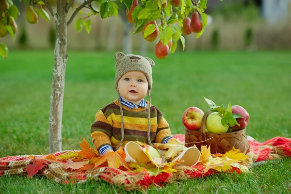 Маленький милий хлопчик з урожаєм — стокове фото