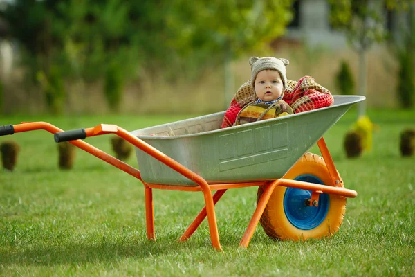 Cute little boy sitting in wheelbarrow — Stock Photo, Image