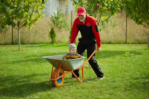 Cute little boy sitting in wheelbarrow — Stock Photo, Image