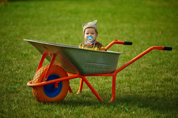 Cute little boy sitting in wheelbarrow — Stock Photo, Image