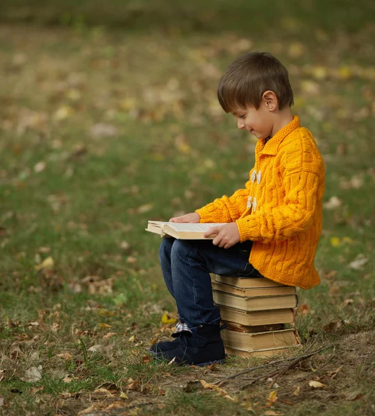 Menino sentado na pilha de livros — Fotografia de Stock