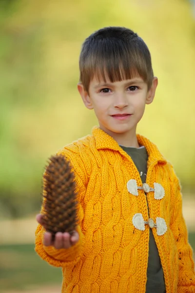 Liten pojke med tallkottar i park — Stockfoto
