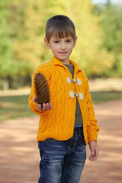 Jongetje met pinecones in park — Stockfoto