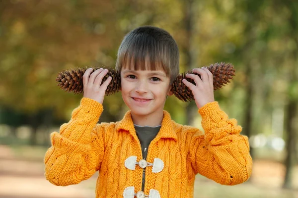Niño pequeño con piñas en el parque —  Fotos de Stock