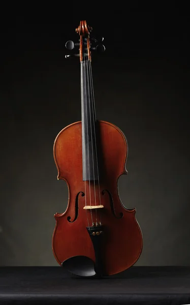 Aged violin on dark background — Stock Photo, Image