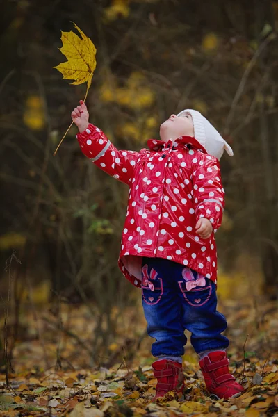 Petite fille drôle avec feuille jaune — Photo