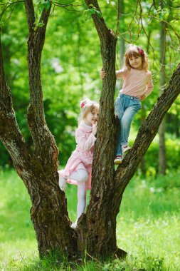 küçük kızlar ağaca tırmanma