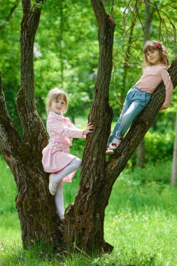 küçük kızlar ağaca tırmanma