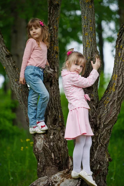 Küçük kızlar ağaca tırmanma — Stok fotoğraf