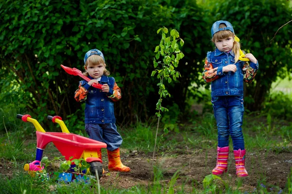 Happy girls planting tree — Stock Photo, Image