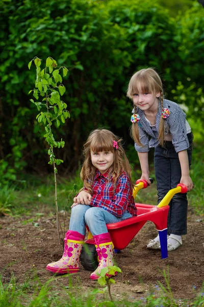 Twee meisjes rijden in kruiwagen — Stockfoto