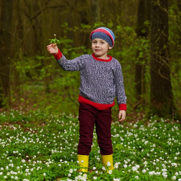 Niño pequeño en el bosque de primavera con muchas flores —  Fotos de Stock