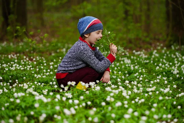 Jongetje in voorjaar bos met vele bloemen — Stockfoto