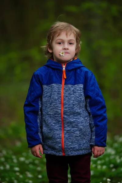 Niño pequeño en el bosque de primavera con muchas flores — Foto de Stock