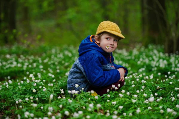 Bambino nella foresta primaverile con molti fiori — Foto Stock