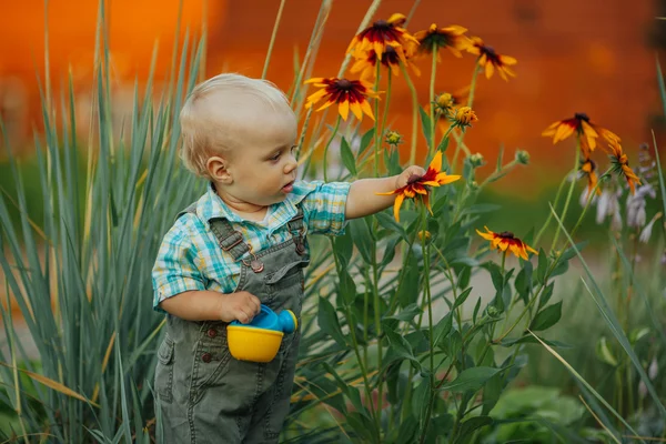 Little boy check the quality of flowers — Stock Photo, Image