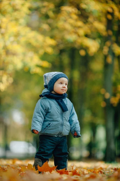 Маленький мальчик в осеннем парке — стоковое фото