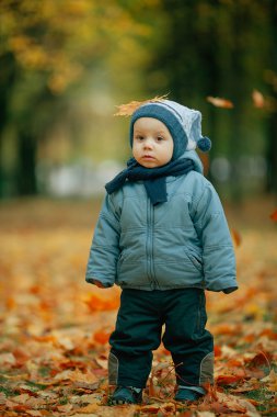 Sonbahar parkında küçük bir çocuk