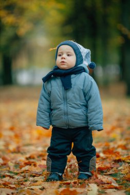 Sonbahar parkında küçük bir çocuk