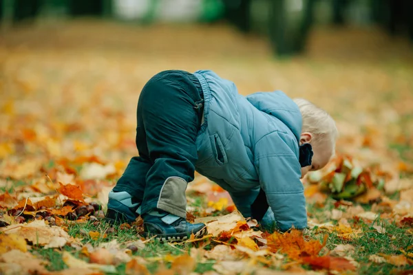 Petit garçon dans le parc d'automne — Photo