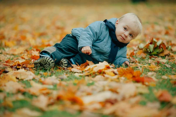 Маленький хлопчик в осінньому парку — стокове фото