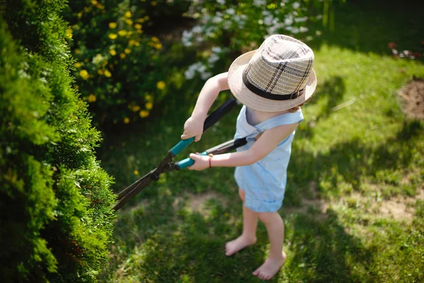 Boy cuts off branches of the shrub shears — Stock Photo, Image