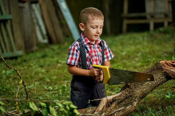 Menino serrar caído árvore no jardim — Fotografia de Stock