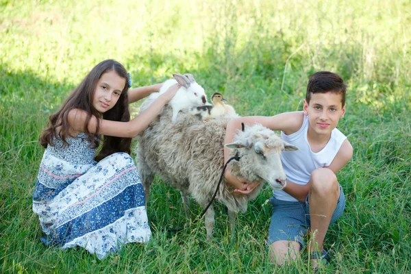 Kız ve erkek kardeşim Köyü yaz geçirmek — Stok fotoğraf