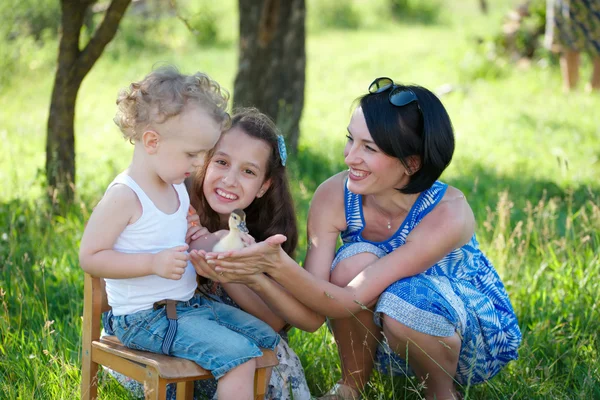 Família com pouco patinho amarelo no parque de verão — Fotografia de Stock