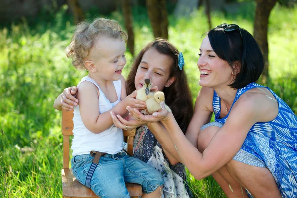 Family with little yellow duckling in summer Park — Stock Photo, Image