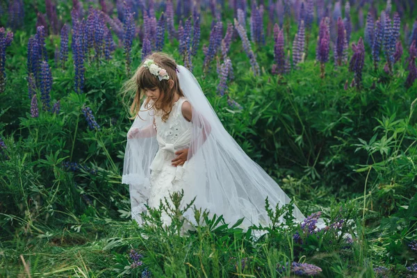 Little beautiful girl with bride dress — Stock Photo, Image