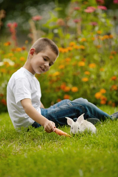 Kleiner Junge mit Kaninchen — Stockfoto