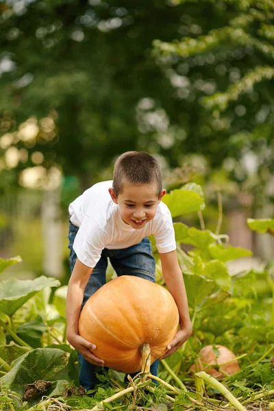 Grappige jongetje met pompoen — Stockfoto