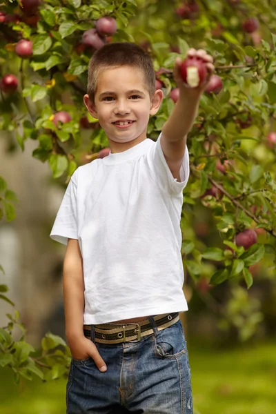Смішний хлопчик з яблуком — стокове фото