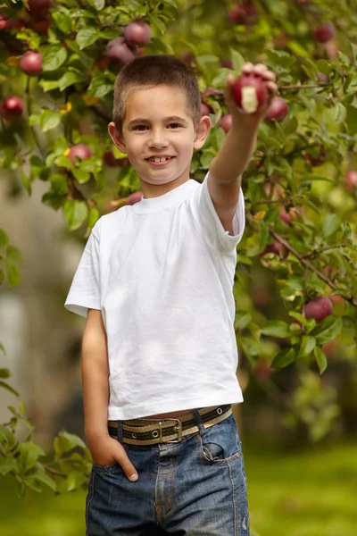 Garçon drôle avec pomme — Photo