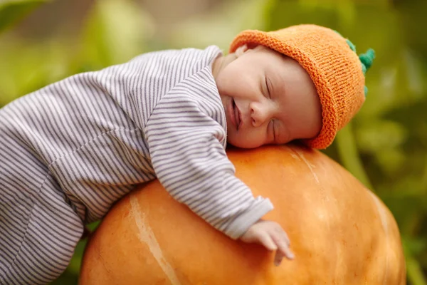 Bebé con sombrero de calabaza durmiendo en gran calabaza naranja —  Fotos de Stock