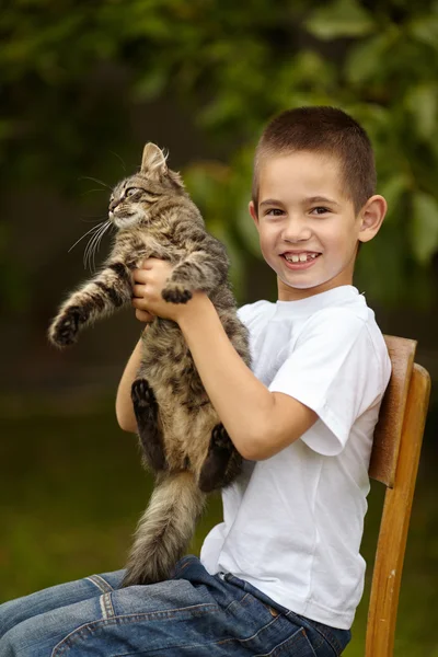 Веселый мальчик с кошкой — стоковое фото