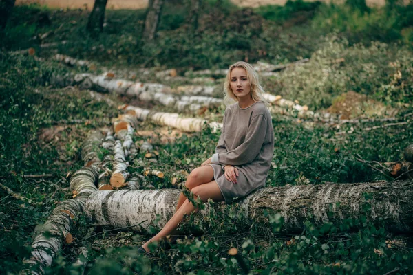 Beautiful girl in the felled forest — Stock Photo, Image