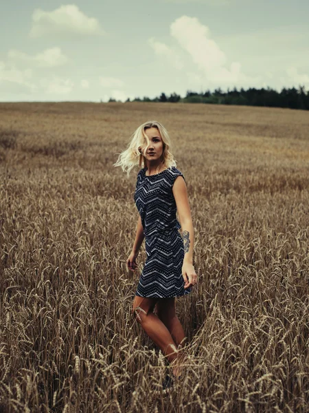 Young beautiful girl in autumn field — Stock Photo, Image