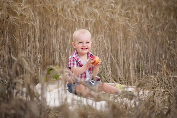 Милый маленький мальчик на осеннем пшеничном поле — стоковое фото