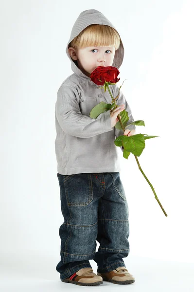 Pequeno menino bonito com rosa isolado — Fotografia de Stock