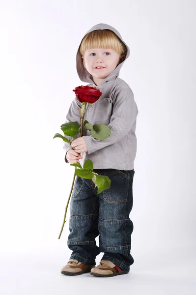 Petit garçon avec rose sur blanc — Photo